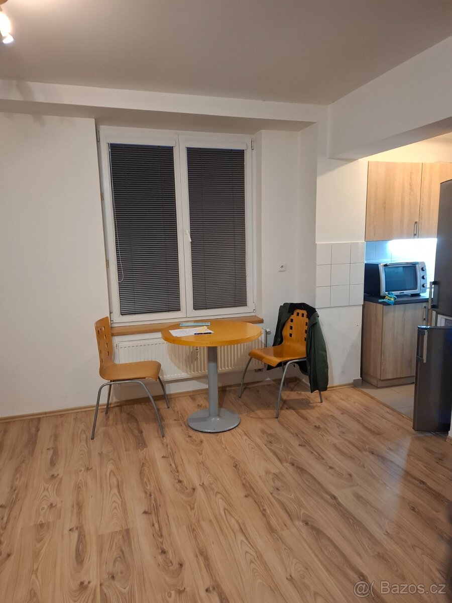 Byt 1+1 Dolny Mecholupy - Pronájem - Sovedel Reality