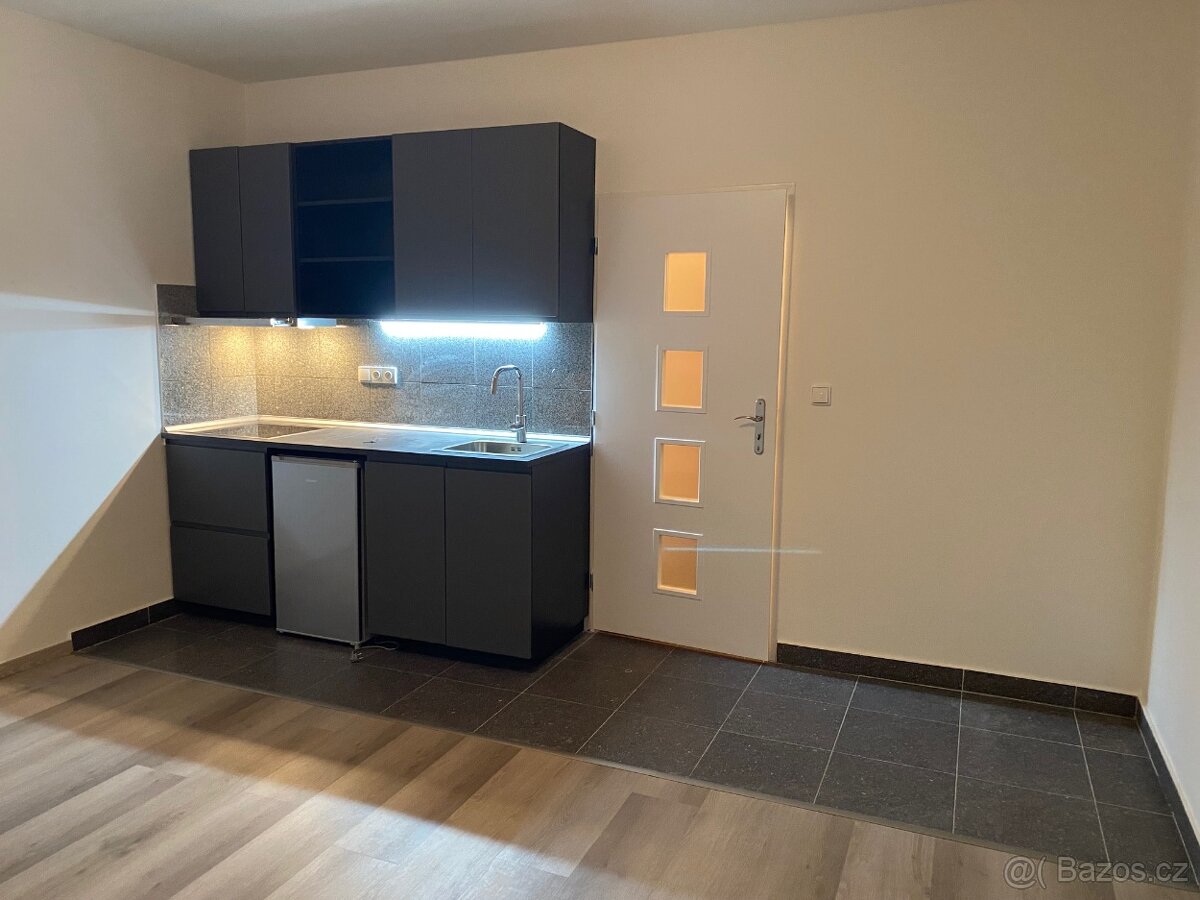 Byt 1kk FREYOVA, PRAHA 9 - VYSOČANY - Pronájem - Sovedel Reality